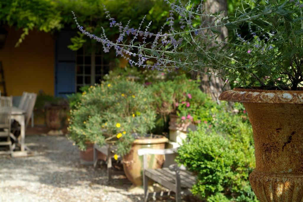 Mas De La Chapelle Hotel Arles Exterior photo